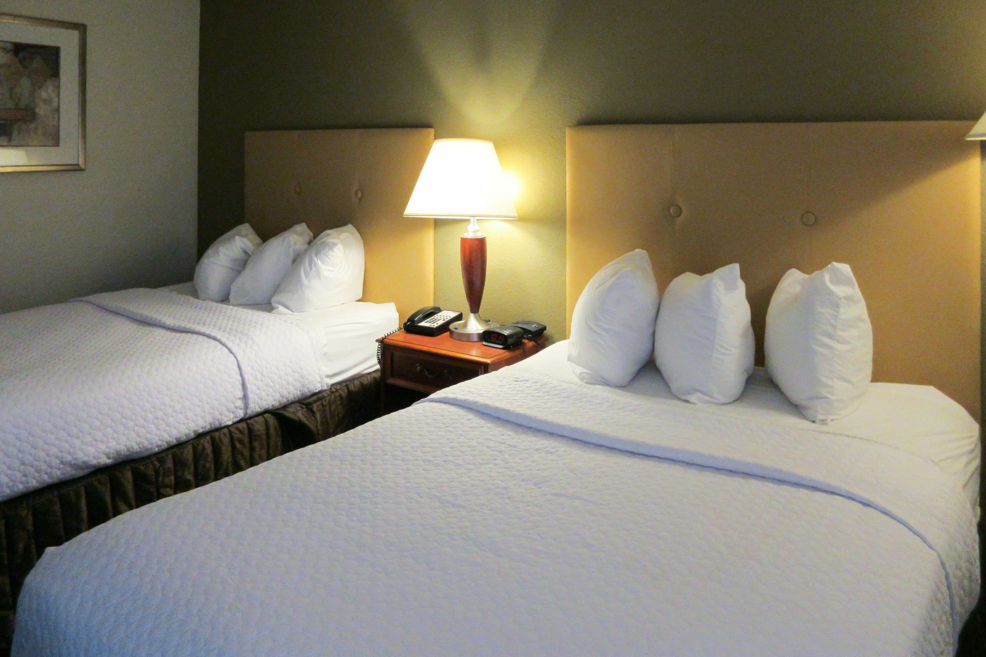 Quality Hotel Conference Center Cincinnati בלו אש מראה חיצוני תמונה
